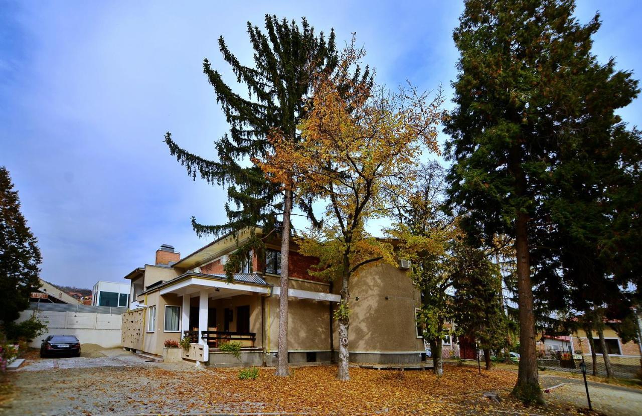 מלון דבה Casa Negustorului מראה חיצוני תמונה