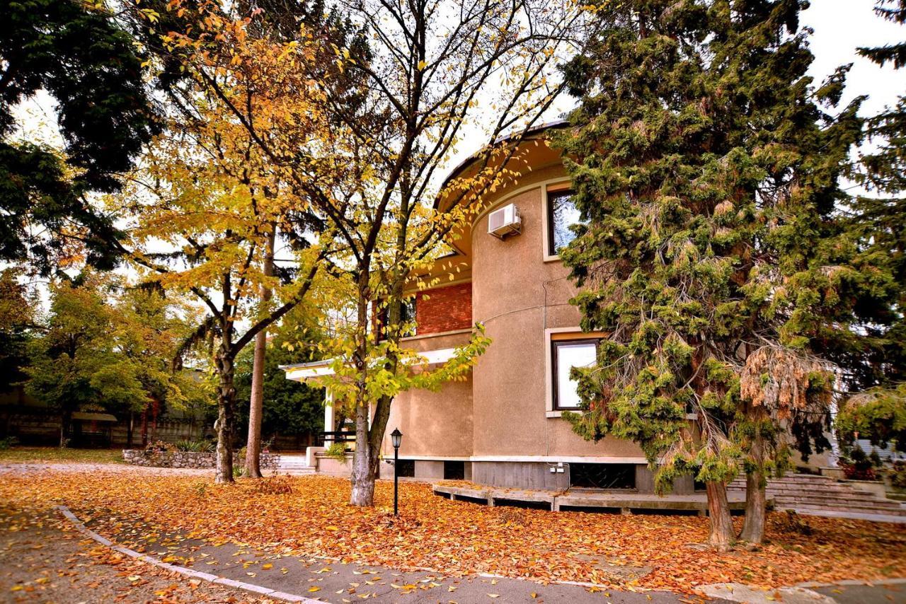 מלון דבה Casa Negustorului מראה חיצוני תמונה